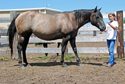 (Kelly) Checker Star Buck